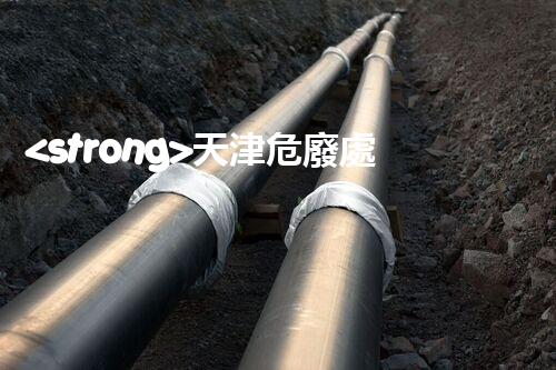 <strong>天津危廢處理企業(yè)電話危險(xiǎn)廢棄物處理的專業(yè)之道？</strong>